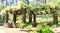 Garden Limestone Arbor with Hanging Wisteria