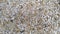 Garden limestone pedals, garden path, chipped white calcareous, garden decoration with calcareous, background, pattern. Caption sp