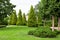 Garden with meadow and lawn and planted coniferous evergreen plants.