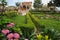 garden in Meteora Agio Stefano monastery in Greece