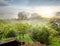 Garden near Sigiriya