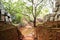 The garden near Sigiriya (Lion\'s rock)