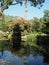 The Garden of Ninfa in Italy