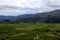 Garden, orchards and fields in the delta of the river Neretva