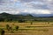 Garden, orchards and fields in the delta of the river Neretva