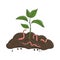 Garden organic fertilizer with worms. Ready compost pile with sprout. Recycling organic waste. Sustainable living concept