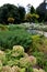 Garden with ornamental grasses and trees.Sunny skies.