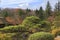 Garden in Oshino Hakkai ancient village