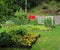 Garden outdoor view with yellow flowers and patterned blankets drying up