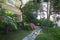 Garden palm trees, maritime pines and villa in a sunny day, Italy