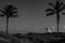 Garden with palms and a lighthouse in the background. Mix of color and black and white.