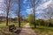 Garden or park bench near an empty dirt path, track, trail or pathway through the trees and green grass lawn