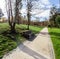 Garden or park bench near an empty dirt path, track, trail or pathway through the trees and green grass lawn