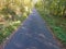 Garden or park bench near an empty dirt path, track, trail or pathway through the trees and green grass lawn