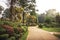 Garden park design scenery with lush green flowerbeds trees plants and trail with landscape design in Royal Garden Peradeniya in S