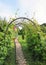 Garden with path and arch of green vine vines in the foreground
