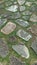 Garden path composed of stones and grass