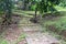 Garden path covered with grass