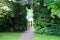 Garden path foot bridge lush garden greenery