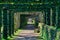 A garden path. The forest path tunnel through trees, scenic nature landscape panorama view. Nature path with the garden.