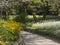 A garden path at the imperial palace in tokyo