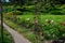 Garden path with iron forged arch surrounded by flower bed with blooming peonies.