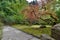 Garden Path with Japanese Maple Trees
