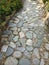 Garden Path lined with stones pebbles rocks and dried leaves pure nature marigold flowers yellow flower green plants sidewalk walk