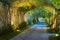 Garden path in resort with warm light and trees on side at evening, Garden Decoration