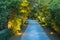 Garden path in resort with warm light and trees on side at evening, Garden Decoration