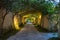 Garden path in resort with warm light and trees on side at evening, Garden Decoration