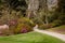 Garden path between shrubbery of azaleas