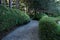 Garden Path Between Tall Hedges