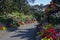 Garden path, Victoria, British Columbia