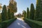 Garden paved path with trimmed Juniper hedges in autumn park