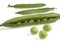 Garden Peas, pisum sativum, Vegetable against White Background