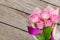 Garden pink roses bouquet over wooden table