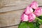 Garden pink roses bouquet over wooden table