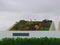 Garden planted on the sloping roof of a modern house