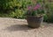 Garden planter full of pink antirrhinum on gravel patio beside flowerbed