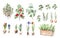 Garden plants, herbs, vegetables and flower bulbs
