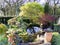 Garden pond with flower border and plant pots