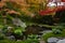 Garden pond in Kyoto, Japan with lush green moss and red fall maple trees