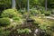 Garden pond in temple complex of Sanzen-in.