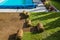 Garden Poolside Natural Grass Turfs Reinstallation During Spring Time