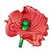 Garden poppy icon, cartoon style