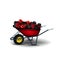 Garden red wheelbarrow with black presents and black and red balloons isolated on a white background.