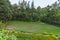 Garden in Resort hotel in Tanzania