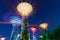 Garden Rhapsody Light Show at Super Tree Grove, Singapore