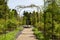 Garden rose archway with ornamental fountain